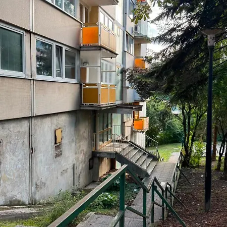 Pure Daire Saraybosna